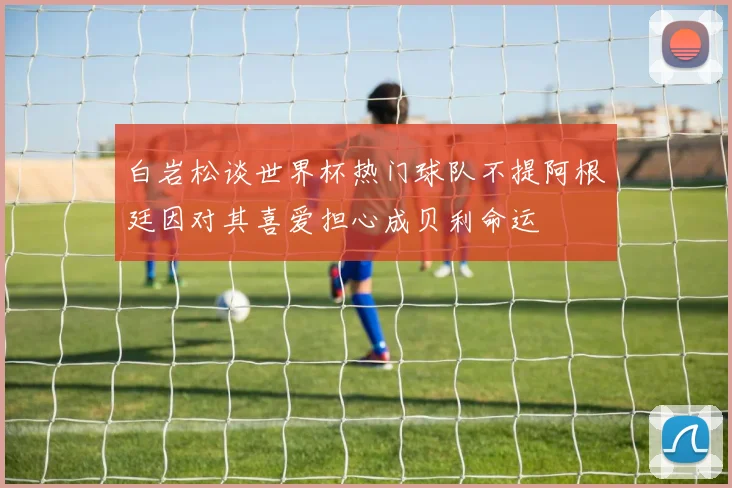白岩松谈世界杯热门球队不提阿根廷因对其喜爱担心成贝利命运